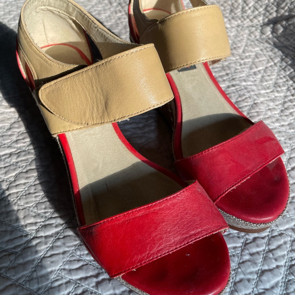 Everybody red wedges